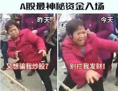 配资免息公司怎么赚钱_免息配资平台赚什么_免息配资公司