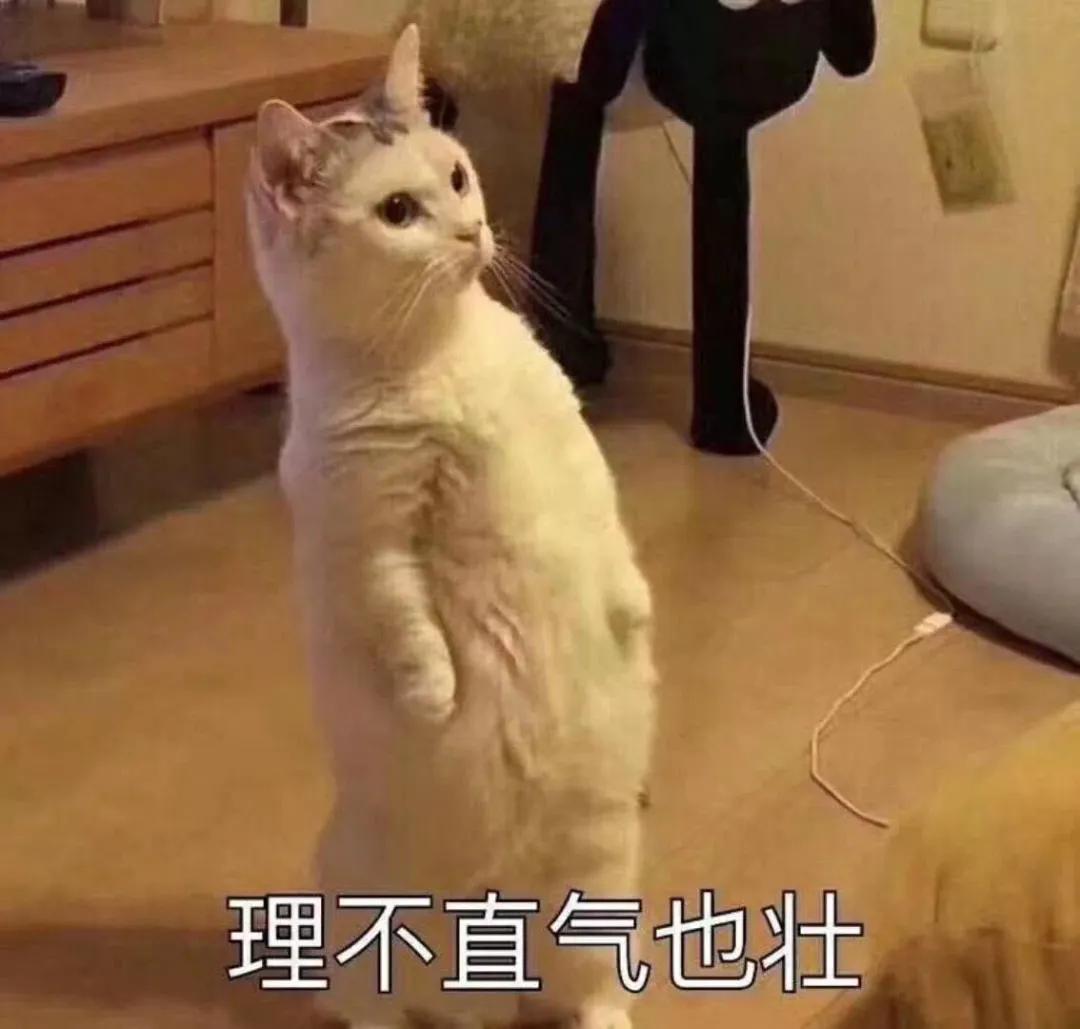 免息配资平台赚什么_配资免息公司怎么赚钱_免息配资公司