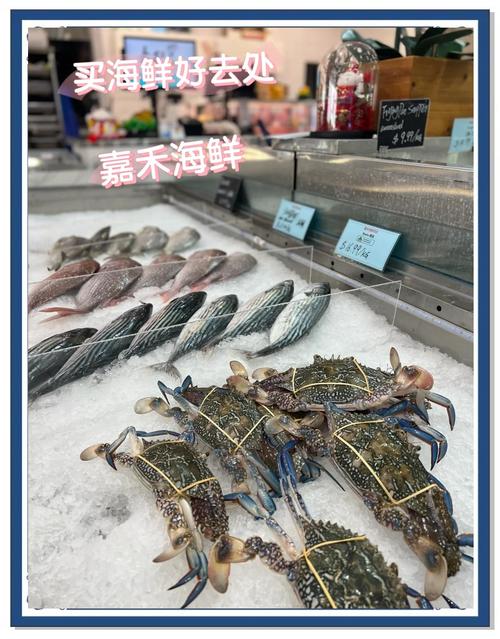 红启网_启红h二月红第一次_启红