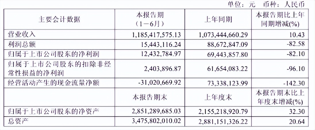 佳禾食品净利润大幅下滑原因分析_佳禾资本_佳禾食品2025年半年度报告