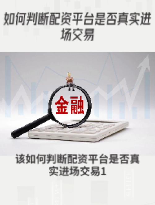 股票市场活跃度提升，实盘配资平台靠谱吗？新手投资者该如何选？