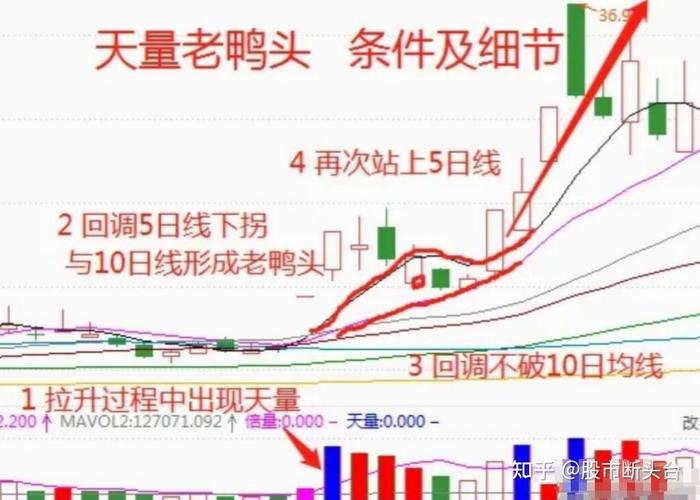 股票基本面指什么？炒股入门必知的基本面分析要点