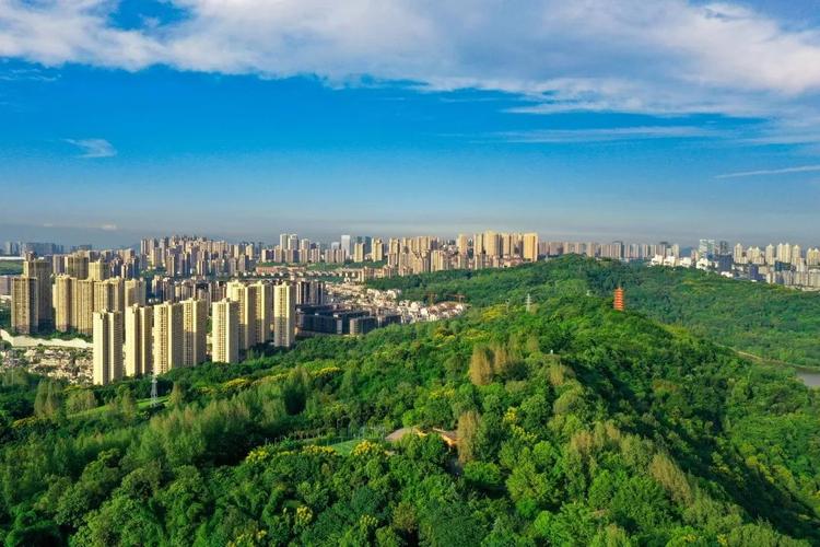 碳汇收益权质押贷款_绿色金融创新_金融杠杆