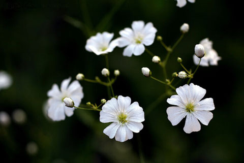 股票配资怎么选？老股民看重口碑与安全，这些关键点要记牢