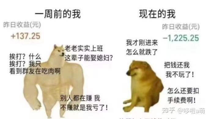 股票怎么买新手入门_基金新手入门教程_基金投资避坑指南