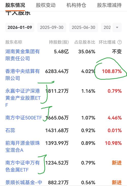 长沙股民跳楼 股票配资业务风险 六合资本降杠杆_炒股配资行情