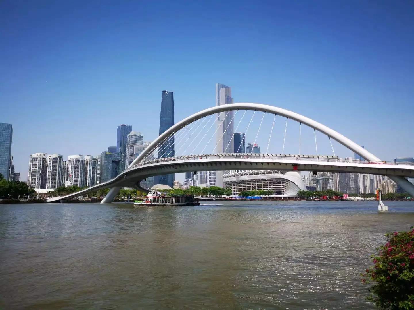 科技牛券商却跌惨了，股票投资该追AI还是抄底老登股？