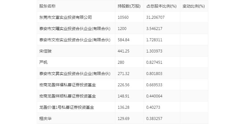佳禾资本_佳禾智能财务分析_佳禾智能2024年半年度报告