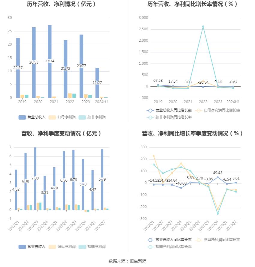 佳禾智能2024年半年度报告_佳禾资本_佳禾智能财务分析